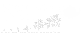 Simpson & Vail