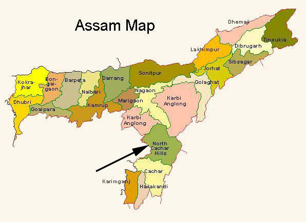 Assam - Kopili Estate, Organic Black Tea - WS