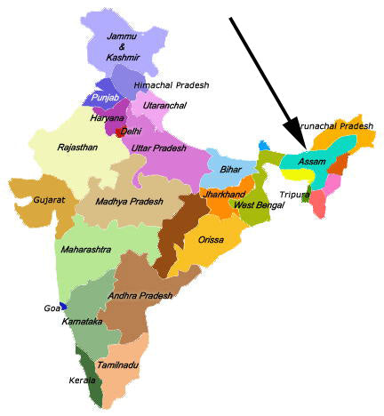 Map of India Assam area