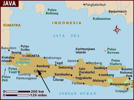 Indonesia tea map