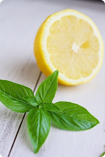 Green Tea-Lemon Basil Dressing