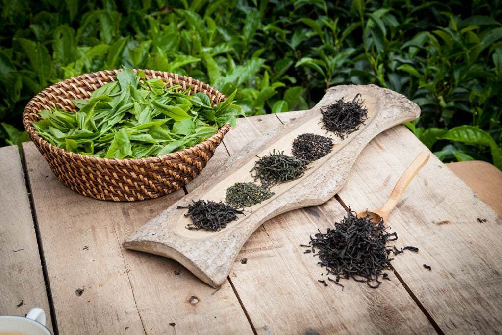 Teas from Bitaco Tea in Colombia