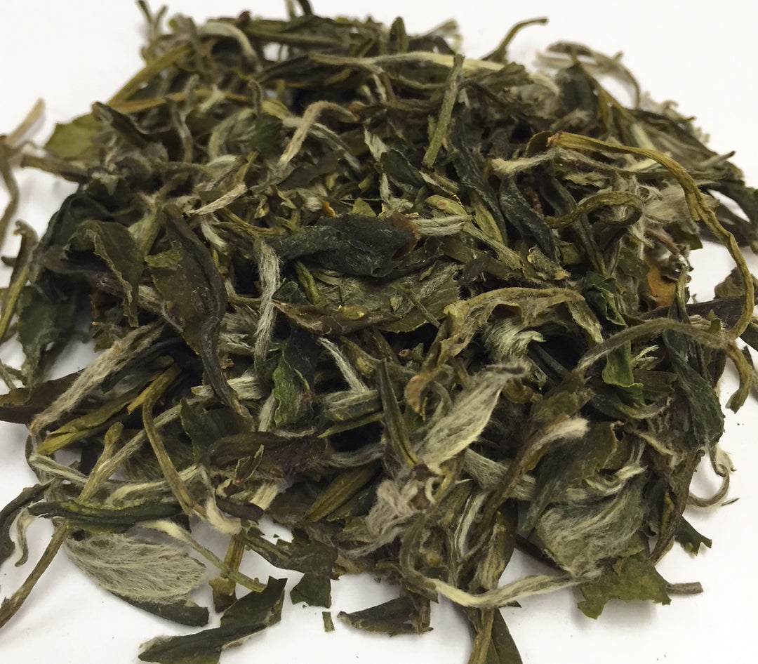 China Special Snow Dragon Green Tea